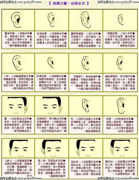 耳骨 面相